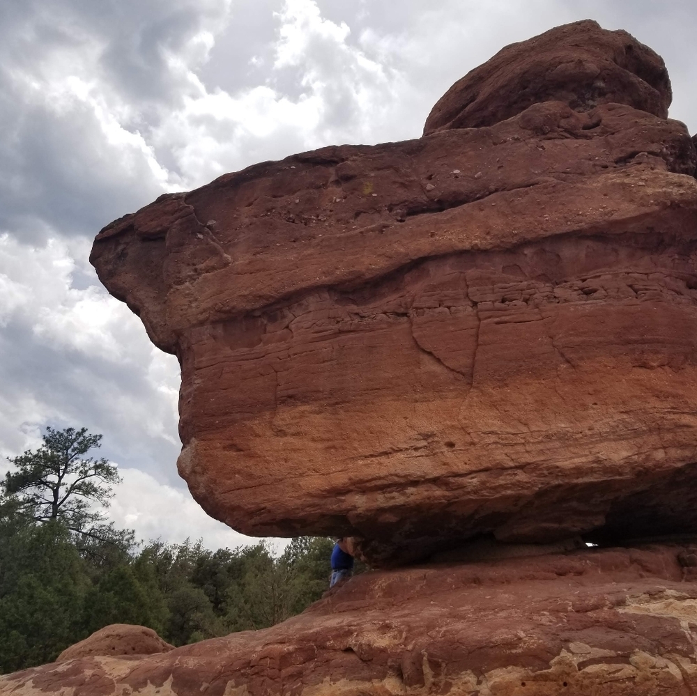 Meet your Posher, Lori